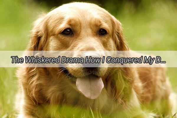 The Whiskered Drama How I Conquered My Dogs Reluctance to Tidy Up